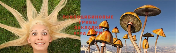 спайс Беломорск