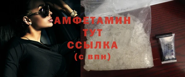 гидра Белоозёрский