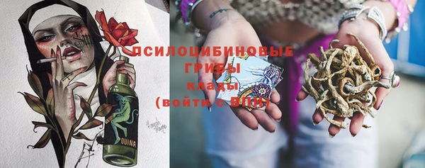 экстази Белокуриха