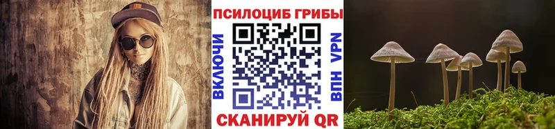 Псилоцибиновые грибы ЛСД Гудермес
