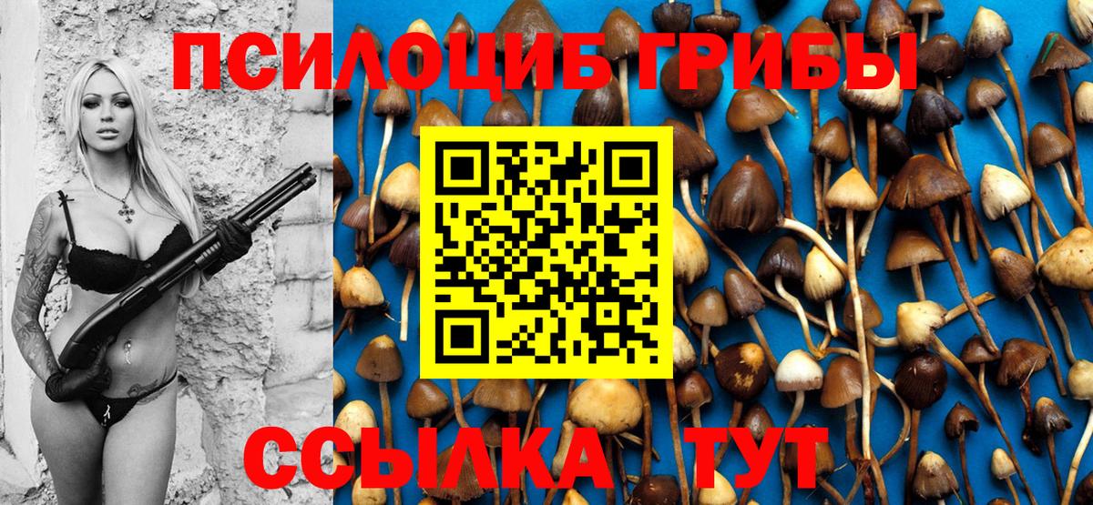 Гудермес  купить   Вход с VPN  Галлюциногенные грибы MAGIC MUSHROOMS 