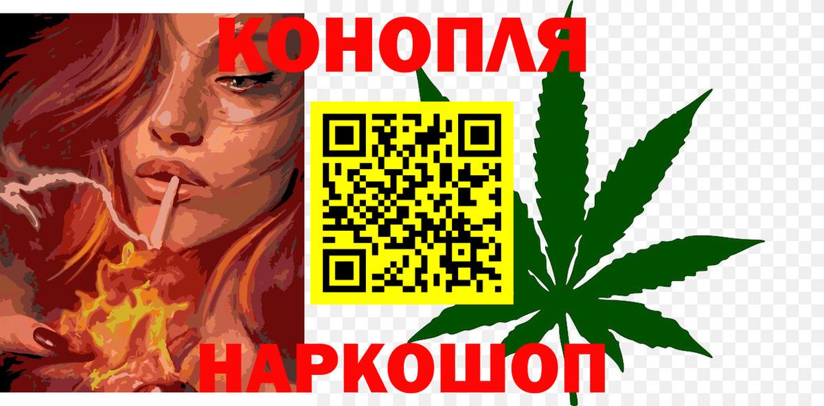 Бошки марихуана ГИДРОПОН Гудермес